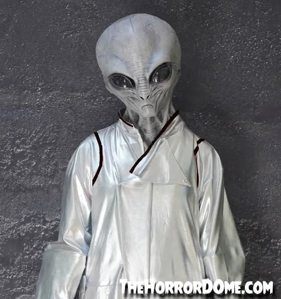 "Area 51 Alien" HD Studios Costume - Image 3