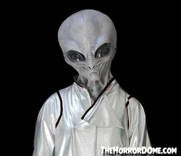 "Area 51 Alien" HD Studios Costume - Image 2