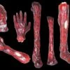 "Burnt Body Parts" Gory Halloween Props - Package Deal