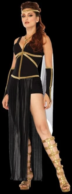 "Divine Dark Goddess" Costume (Adult Size)