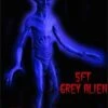 "Grey Alien" Movie-Quality Professional Prop