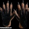 Monster Hands With Black Hair - HD Studios