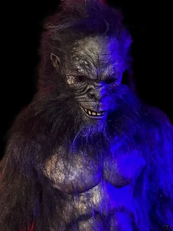 "Harry The Primate" Costume - Image 2