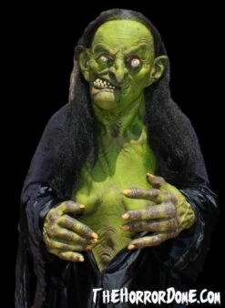 "Helga The Witch" HD Studios Pro Costume