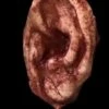 "Severed Ear" Halloween Prop