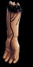 "Severed Left Arm" Bloody Human Body Part Prop