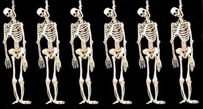 "Skeleton Halloween Props" - 6x Package Deal