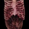 "Walking Dead - Walker Latex Chest" Zombie Costume Accessory