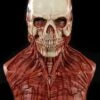 "Yorick Bloody Skull" Silicone Mask